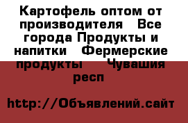 Картофель оптом от производителя - Все города Продукты и напитки » Фермерские продукты   . Чувашия респ.